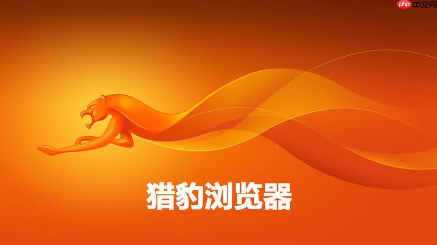 猎豹浏览器打开慢怎么办_猎豹浏览器启动加载速度优化方法【解决】