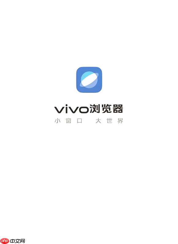 vivo浏览器怎么查看流量统计_vivo浏览器查看流量使用统计教程【指南】