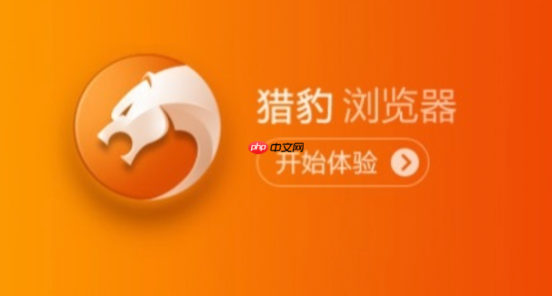 猎豹安全浏览器最新可用官方网站地址  2025年猎豹安全浏览器入口