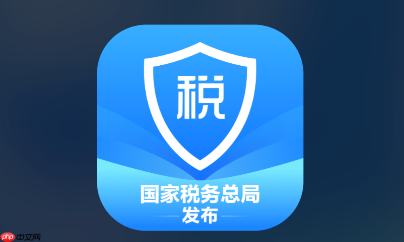 个税纳税人登录系统入口  个人所得税网上税务局入口