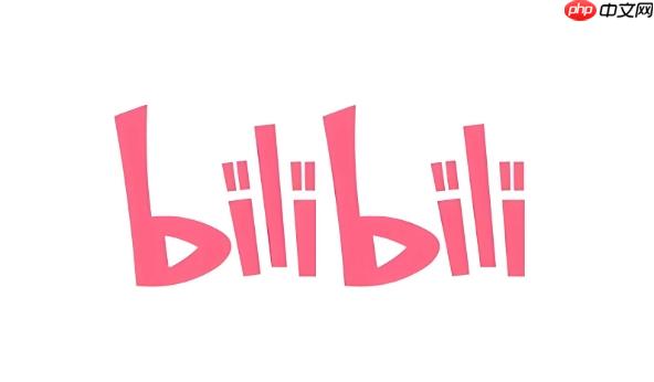 哔哩哔哩官方网页端网址 哔哩哔哩bilibili官网直达入口