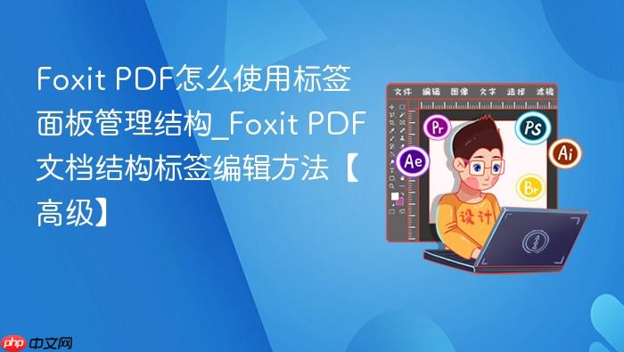 PDF怎么使用标签面板管理结构_Foxit PDF文档结构标签编辑方法【高级】  Foxit