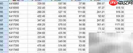 K 均值聚类入门  SPSS