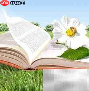  世界读书日：如何高效阅读