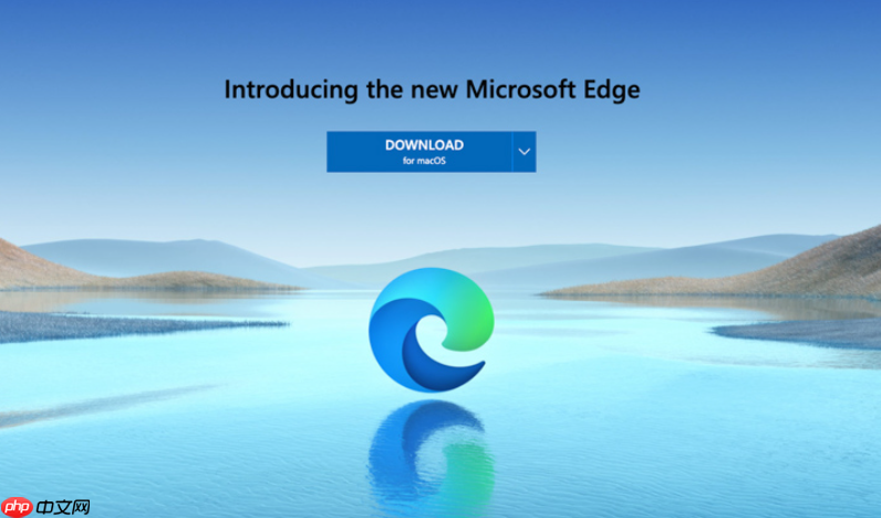 Edge标签页频繁崩溃怎么办 Microsoft Edge标签管理  Microsoft