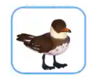 20260715100325_55242.png