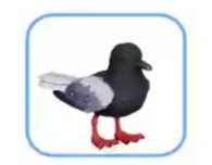 20260715100325_95781.png