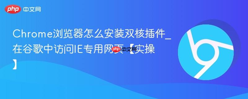  Chrome浏览器怎么安装双核插件_在谷歌中访问IE专用网页【实操】