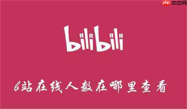 如何查看b站视频实时观看人数