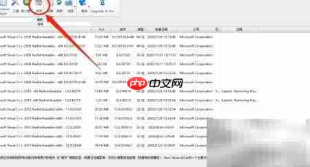 Uninstaller开启文本标签  Revo