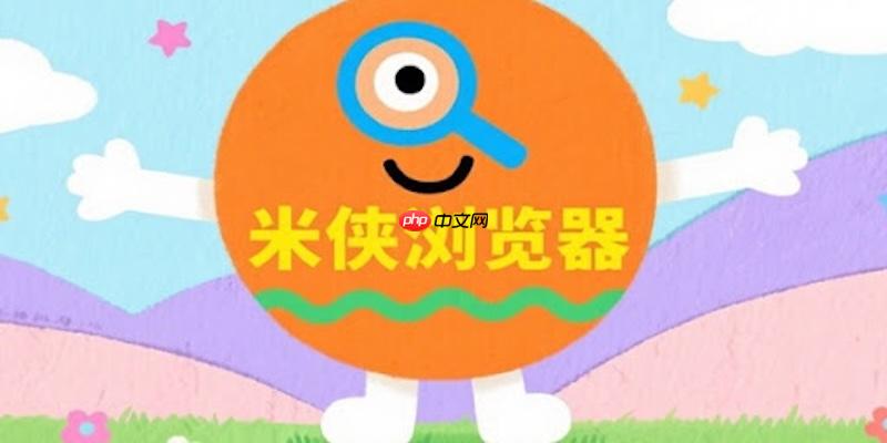 如何利用米侠浏览器查看网页存储的LocalStorage数据?