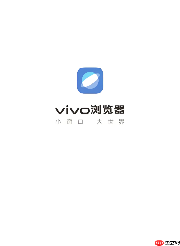 怎样在vivo浏览器中开启并设置无痕浏览隐私模式?