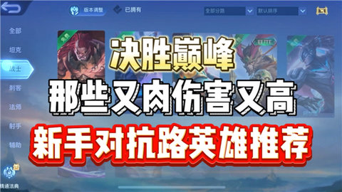 决胜巅峰新手推荐英雄有哪些决胜巅峰新手推荐英雄一览