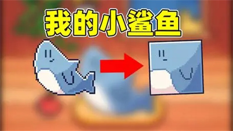 我的小鲨鱼全结局完成攻略我的小鲨鱼全结局是什么
