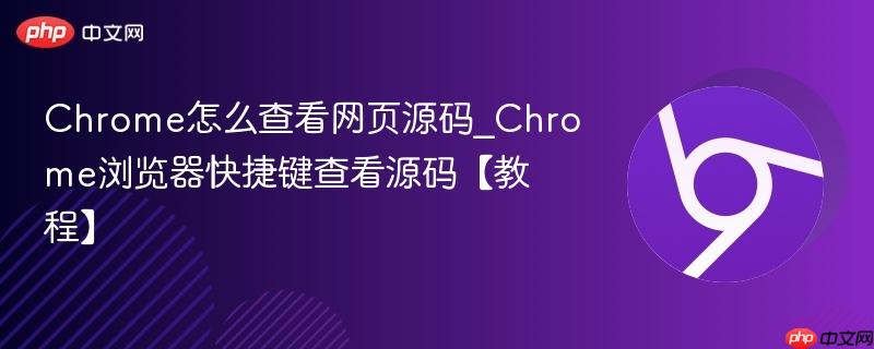  Chrome怎么查看网页源码_Chrome浏览器快捷键查看源码【教程】