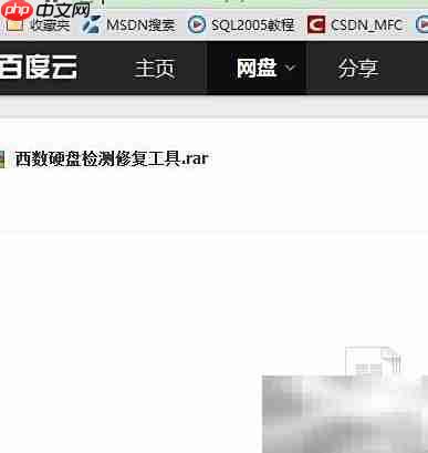  西部数据硬盘检测修复指南