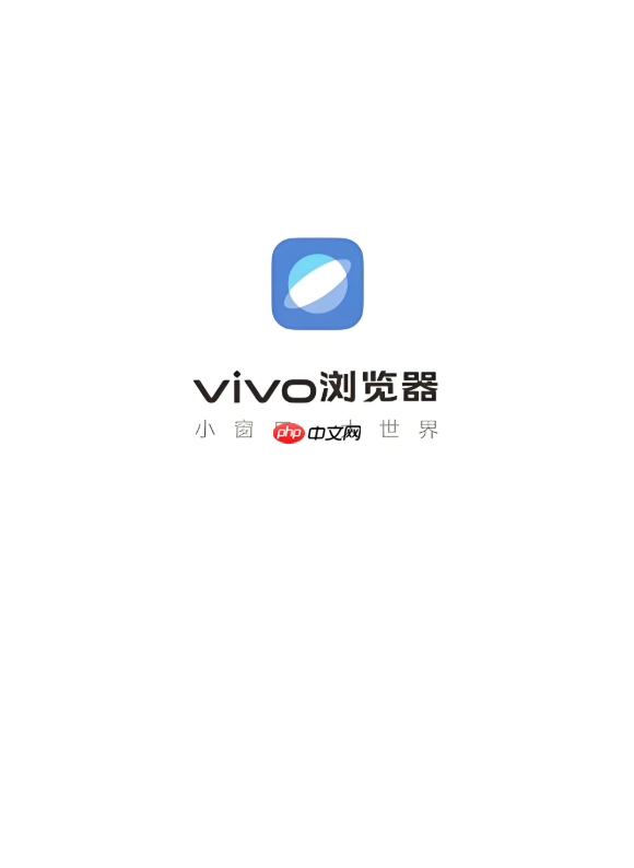  vivo浏览器无法识别二维码该如何开启扫描功能？