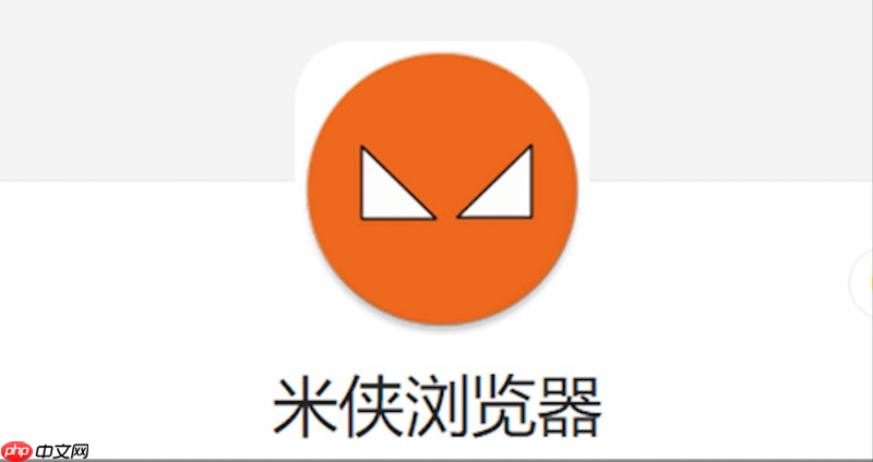 怎么解决米侠浏览器在部分论坛登录状态掉线的问题?