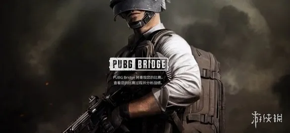 《PUBG》星际乱斗模式排名查看方法官方Bridge网站查询指南