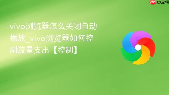 vivo浏览器怎么关闭自动播放_vivo浏览器如何控制流量支出【控制】