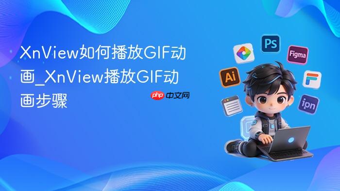  XnView如何播放GIF动画_XnView播放GIF动画步骤