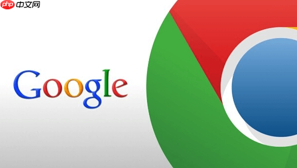 google浏览器安卓无需下载步骤_谷歌Chrome安卓版官方无需下载安装指南
